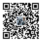 1631671715916944.png image.png