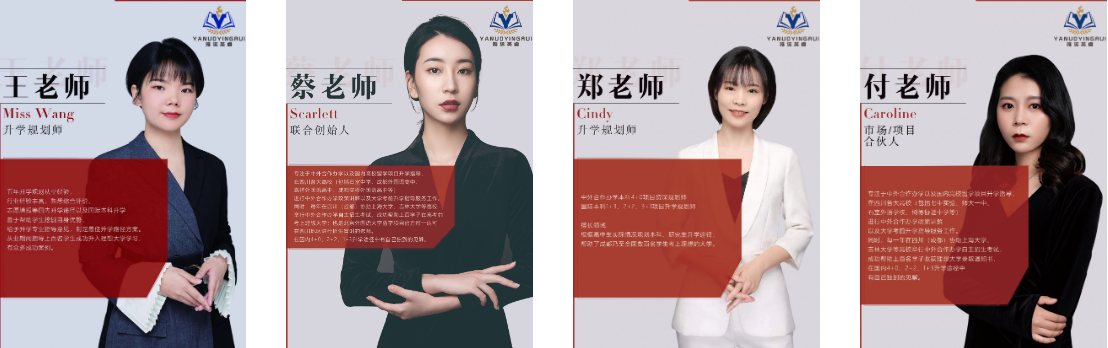 资深顾问.png