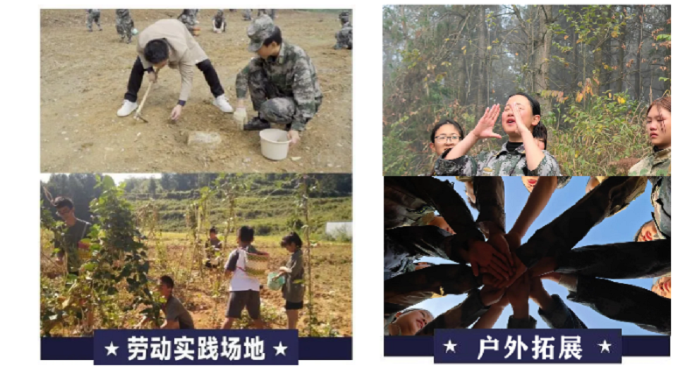 亮点1-4.png