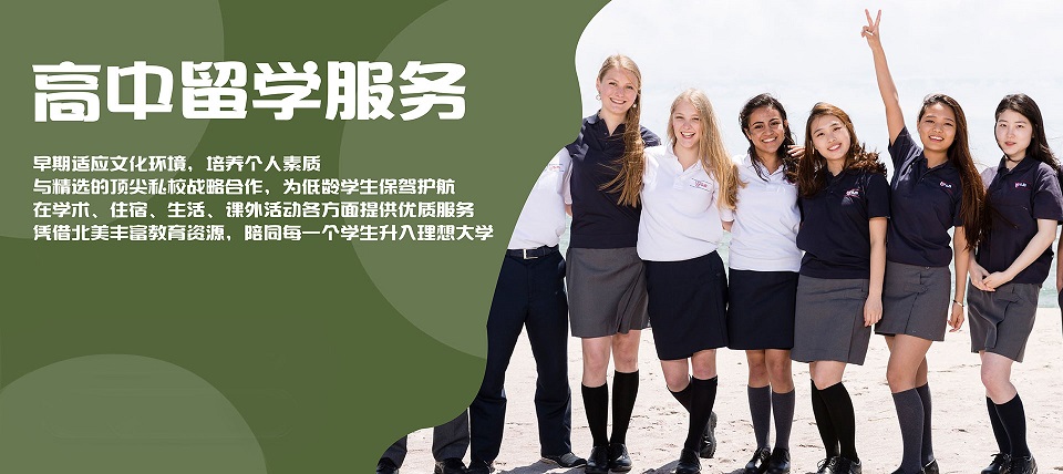 1739169885365375.jpg 网页保存45 高中留学服务.jpg